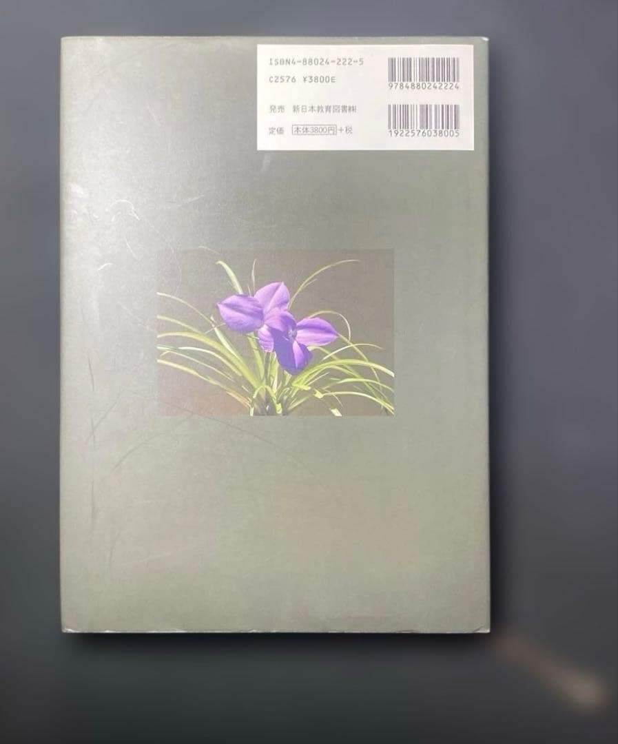 ティランジア・ハンドブック 改訂版 清水秀男 滝沢弘之 カバー付