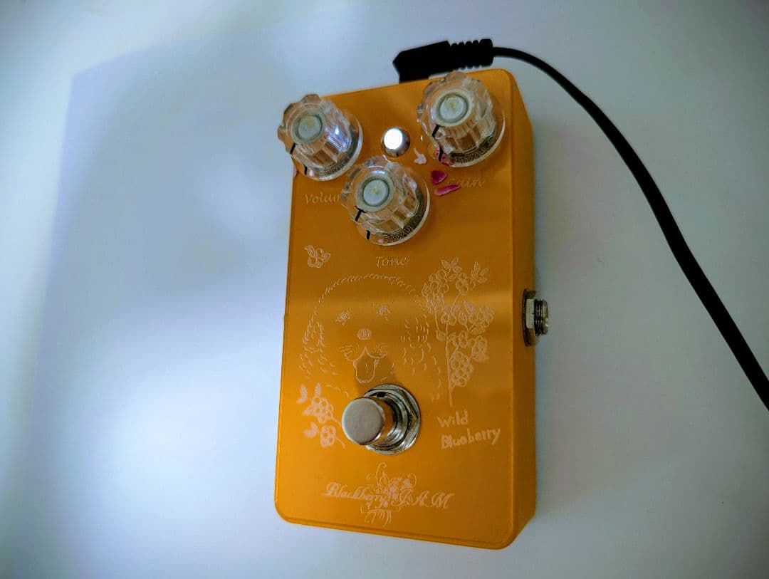 ギター Blackberry JAM Wild Blueberry MariGold