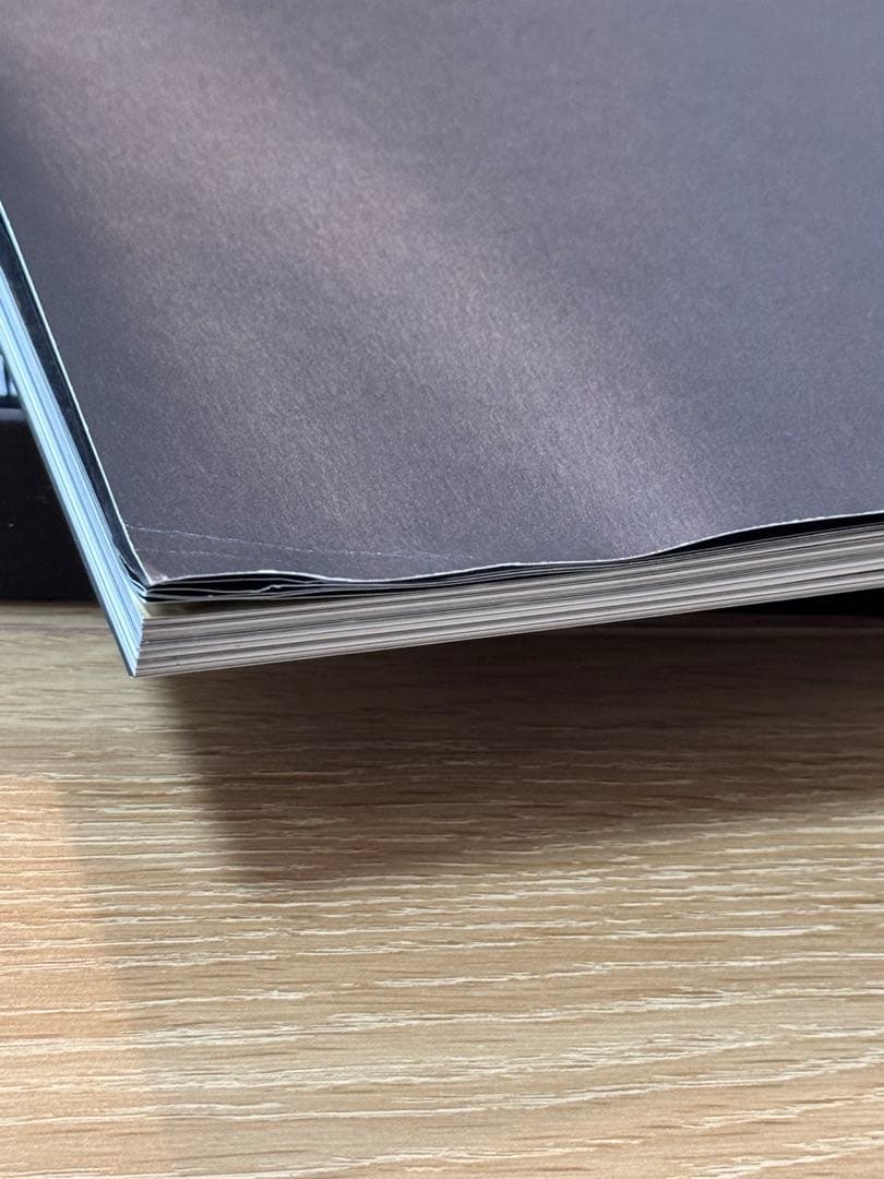 ミッシェルガンエレファント TEN YEARS AGO 完全受注生産品　限定