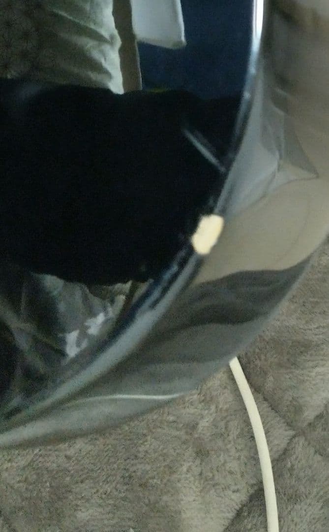 Fender JAPAN Telecaster custom 80年代