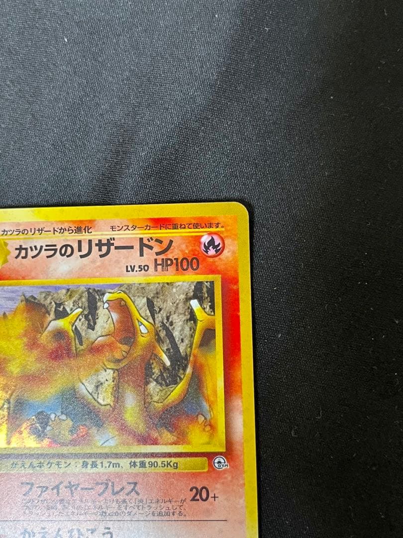 中*迎様 カツラのリザードン