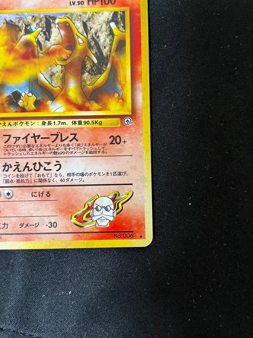 中*迎様 カツラのリザードン