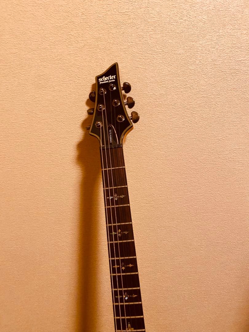 ギター Schecter damien elite