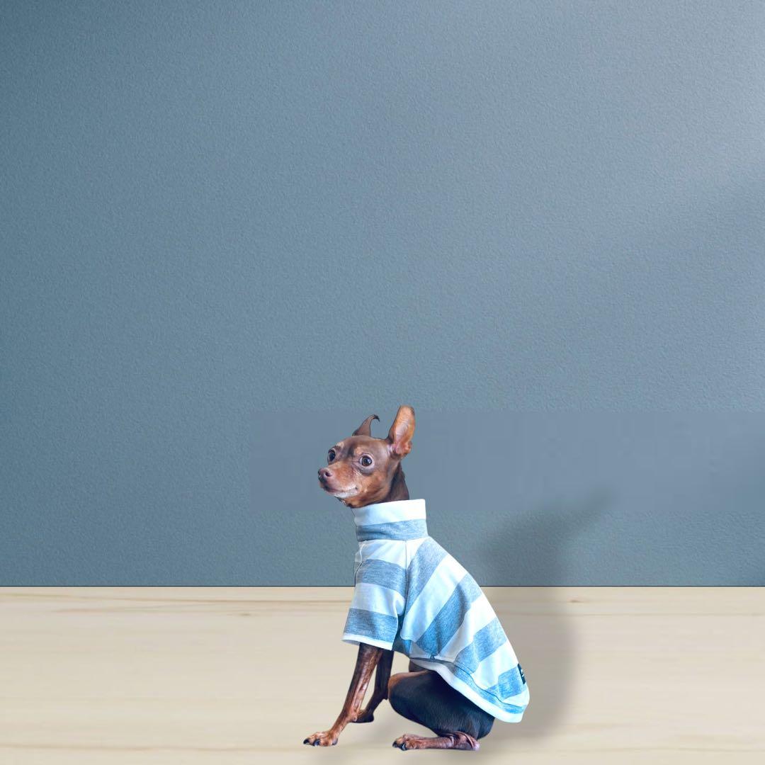 ⑱ボーダーショートスリーブ