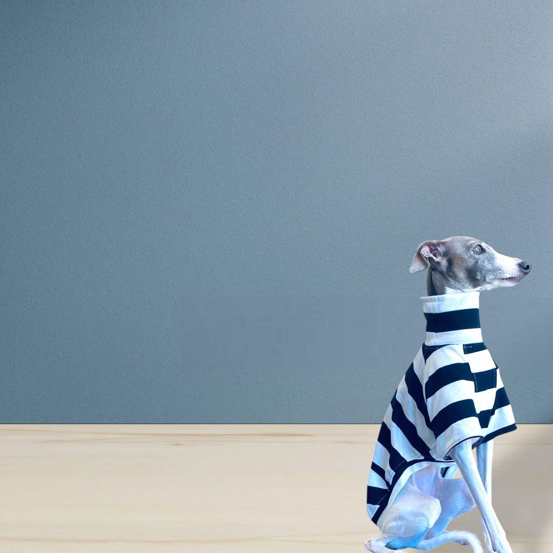 ⑱ボーダーショートスリーブ