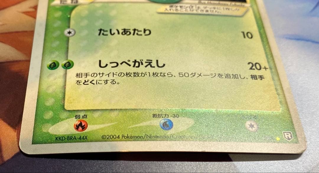 キモリ☆ ゴールドスター