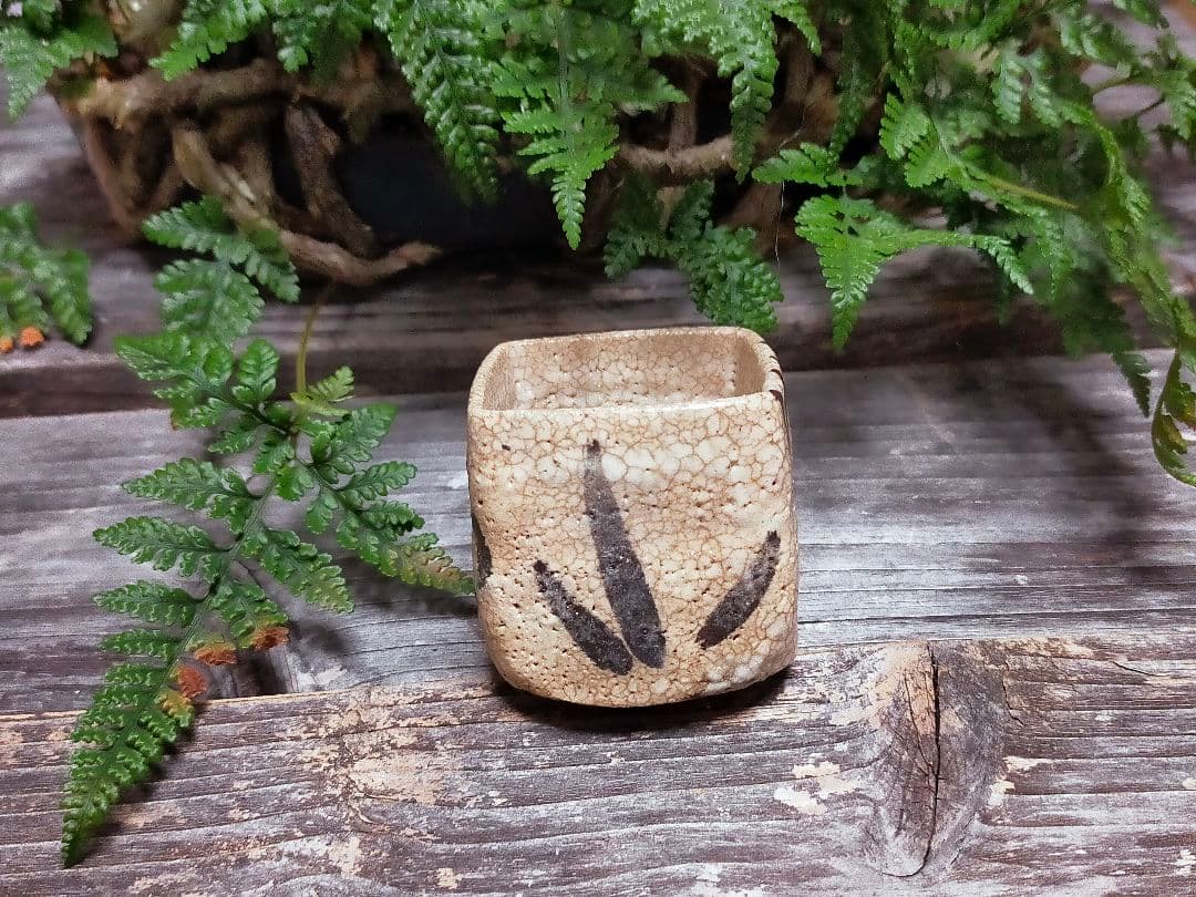 ♥絵志野　ぐい呑み　桐箱付き　⑭　志野　ぐい飲み　骨董品