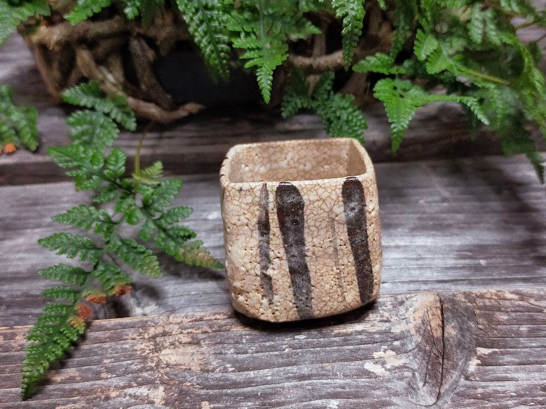 ♥絵志野　ぐい呑み　桐箱付き　⑭　志野　ぐい飲み　骨董品