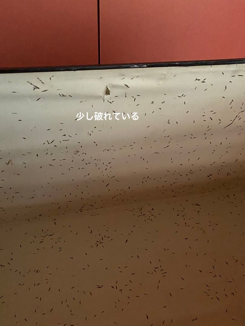 真鍮・銅の挟み箱　衣裳箱　黒色　お値下げ