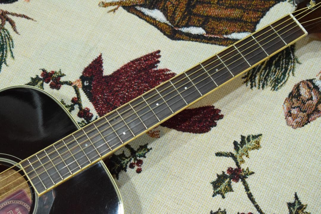 YAMAHA ヤマハ FS720S TBS ケース付き アコギ