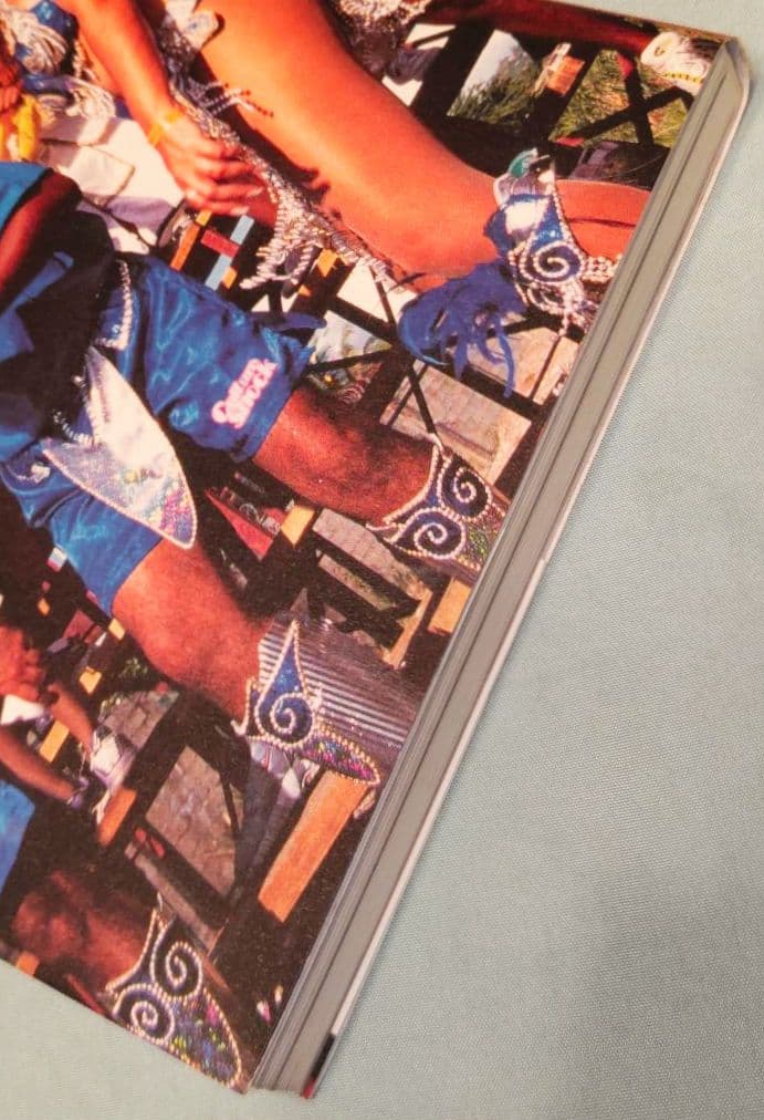 祝祭と暴力　スティールパンとカーニヴァルの文化政治