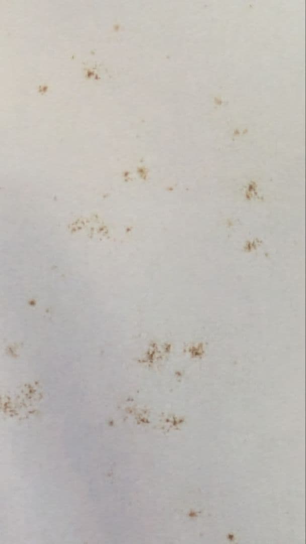 ★追加【汚れ有り】FFX 店頭プロモーション用等身大POP（箱有り）+ミニPOP