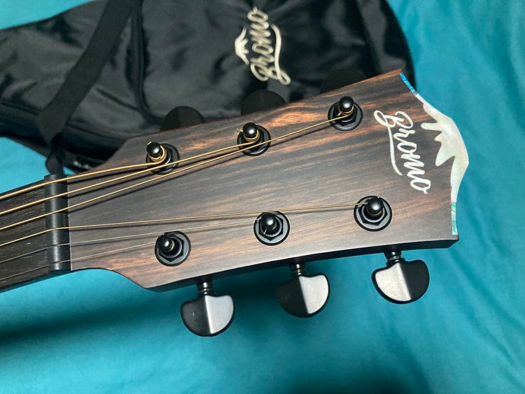 Bromo Guitars BAR5CE ブロモギター