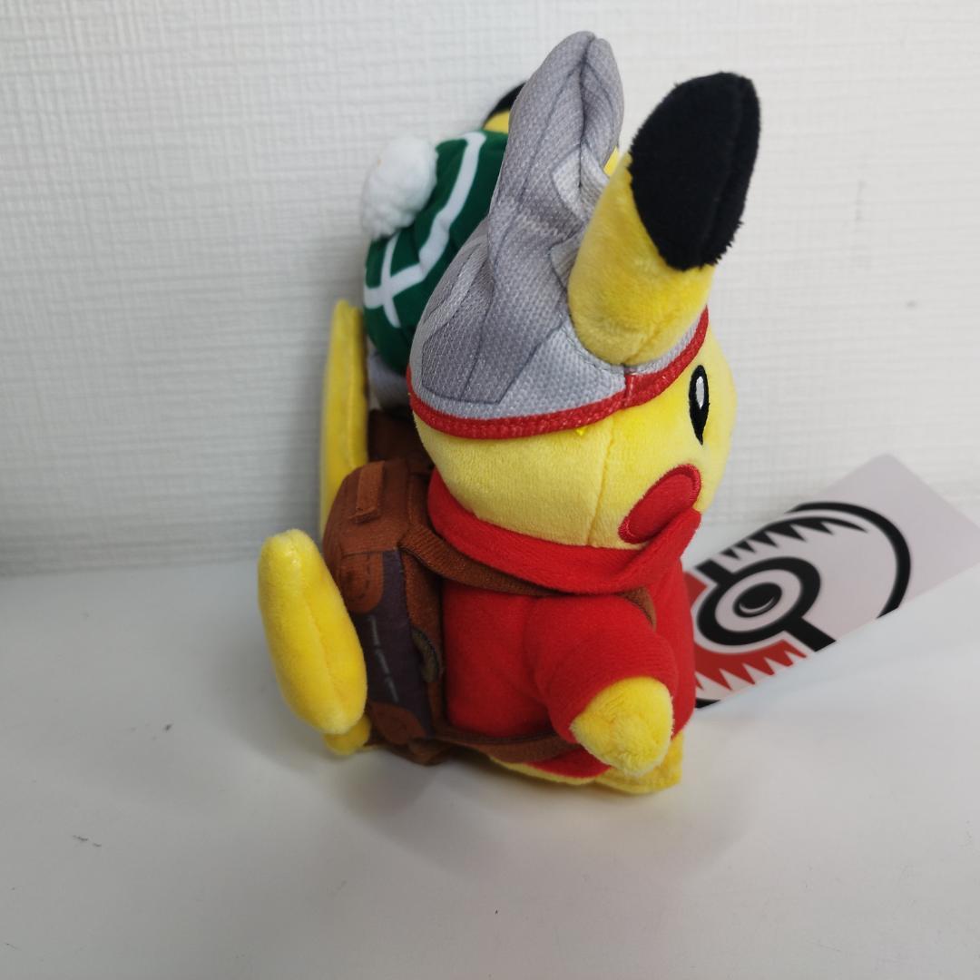 ピカチュウ 25周年 ガラル地方 ぬいぐるみ ニューヨーク ペア アメ I1OS