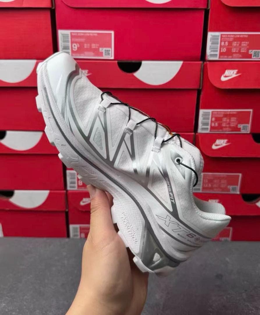 SalomonXT-6 2.0 EXPANSE アロイグレー