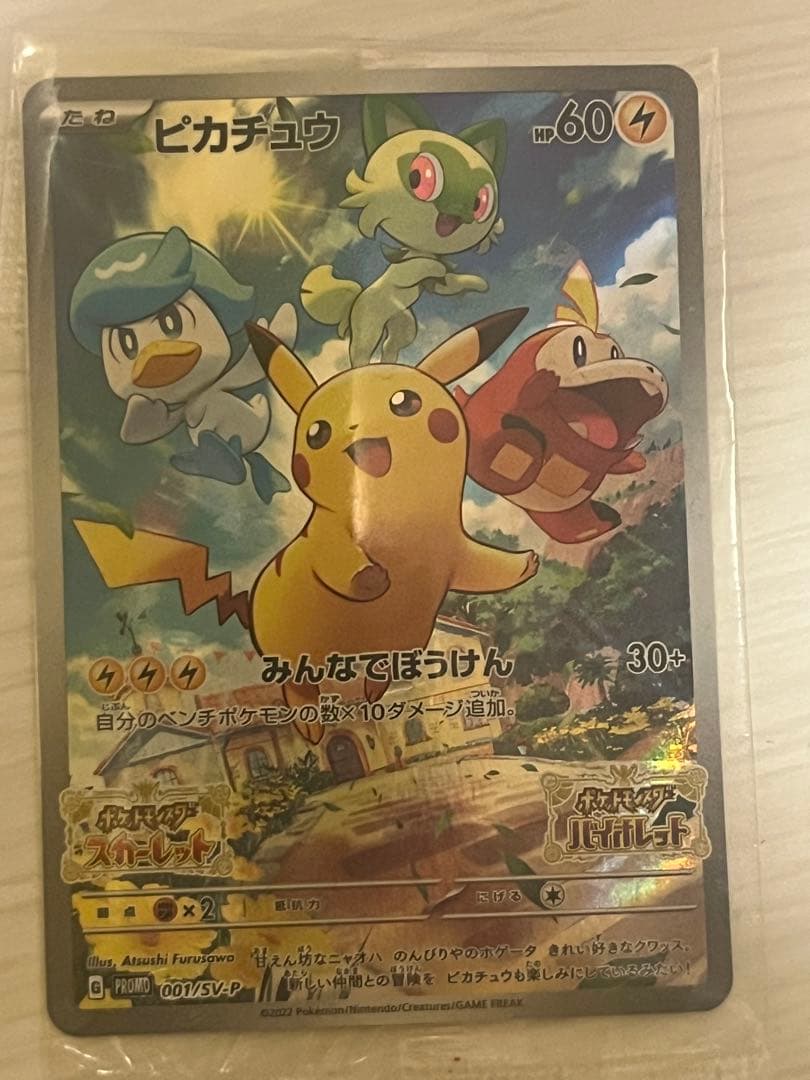 ポケモンカード 引退品