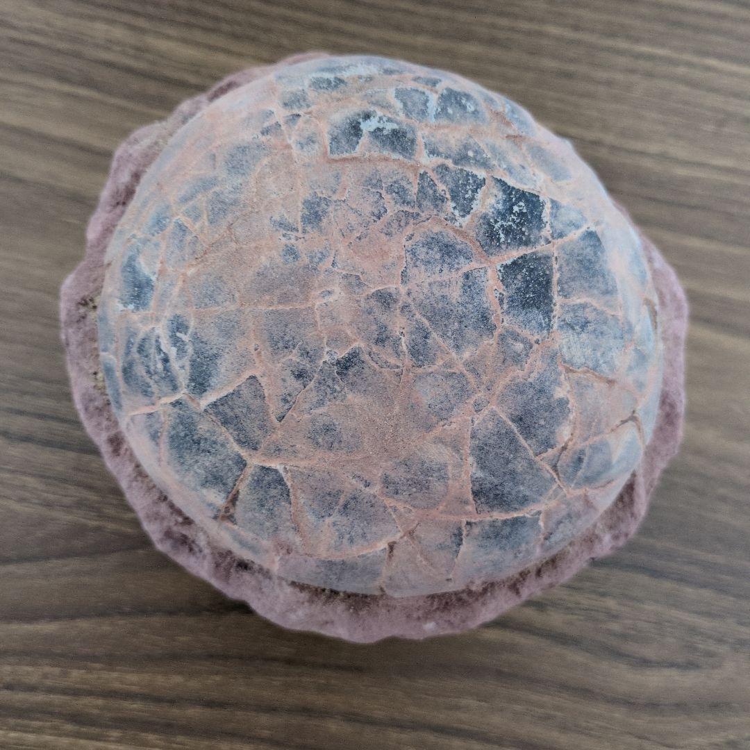 (貴重)　恐竜ハドロサウルスの卵化石　中国　補修あり