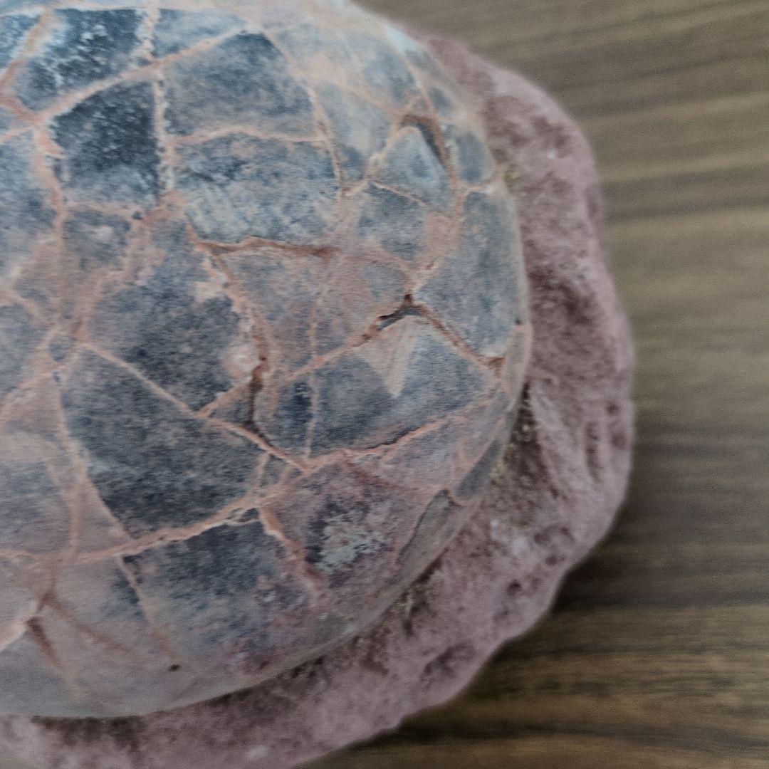 (貴重)　恐竜ハドロサウルスの卵化石　中国　補修あり