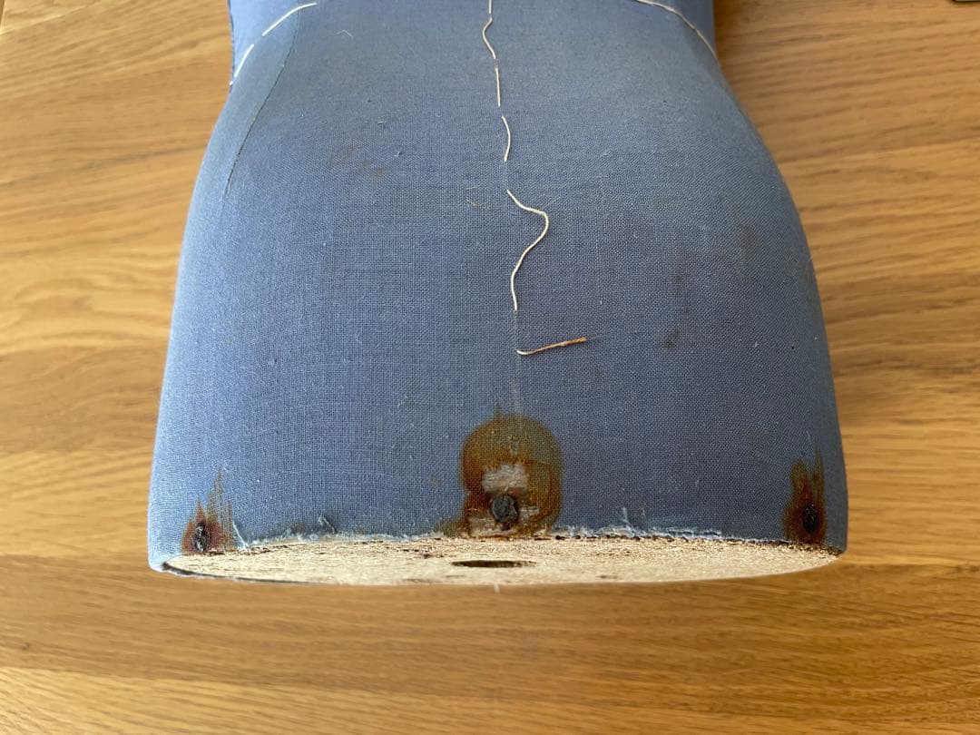 Cleo キッズトルソー