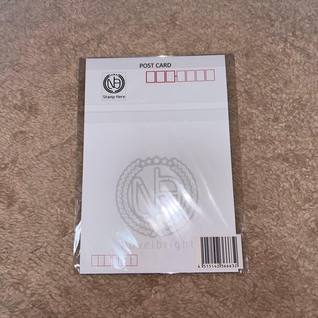 Novelbright 武道館　ジャスティンアイランド特典　防災グッズ他