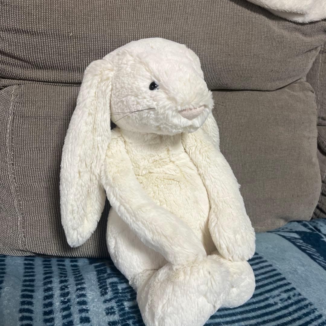  Bashful Large Bunny ヒゲ 廃盤 旧型