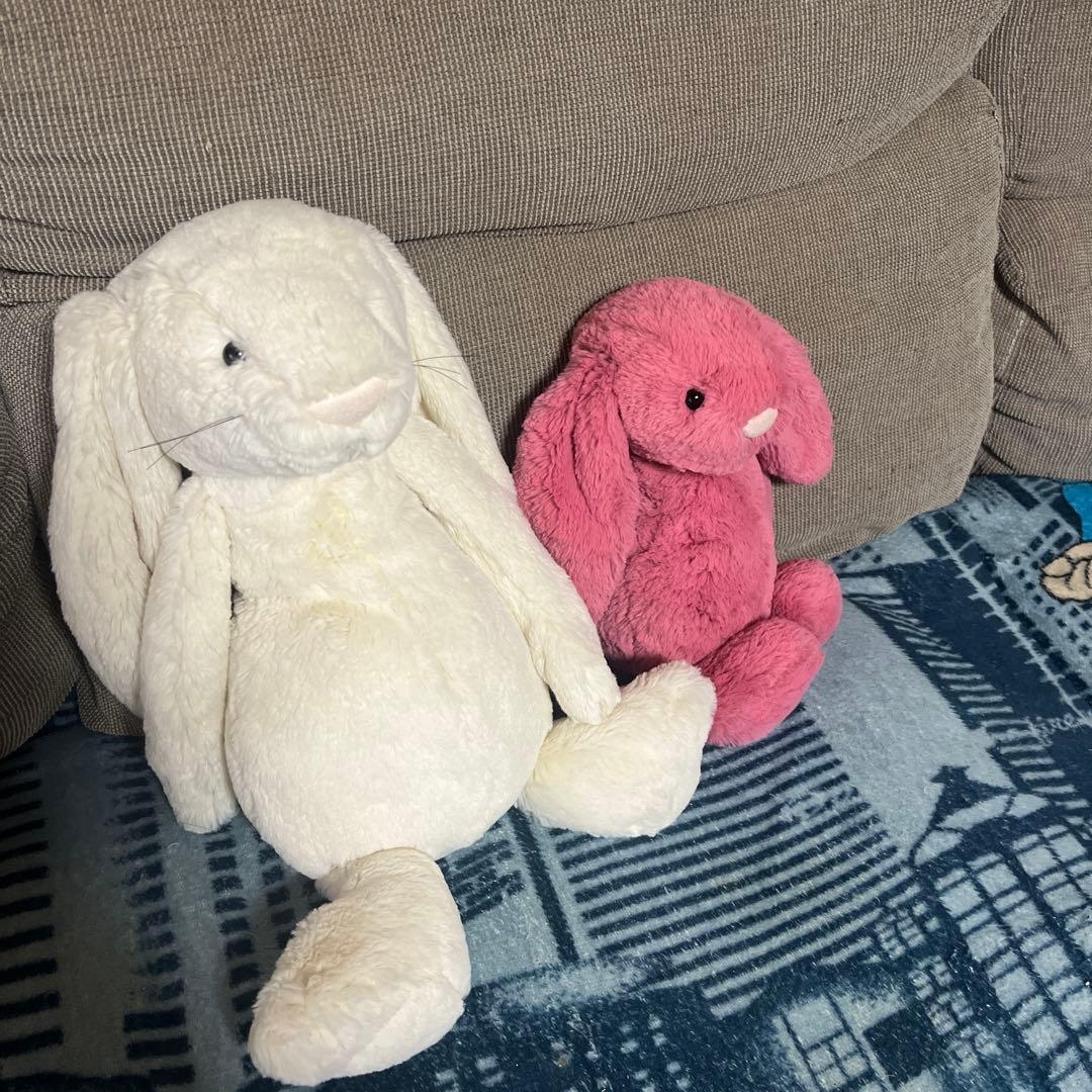  Bashful Large Bunny ヒゲ 廃盤 旧型