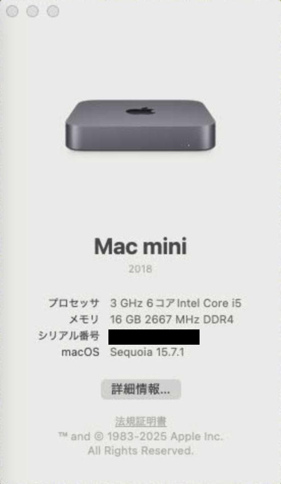 Apple Mac mini2018（Early2020）16GB/512GB