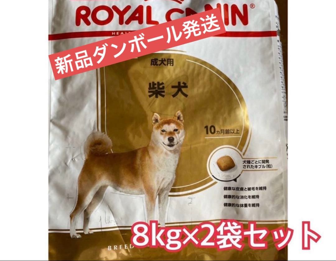  CANIN 柴犬成犬用8kg×2袋