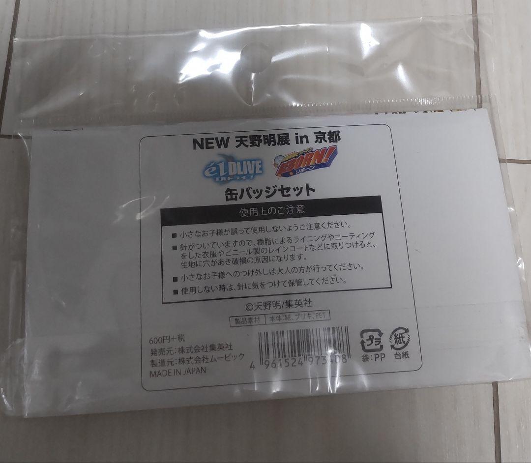 v*i様 天野明展in京都　沢田綱吉　ツナ　九ノ瀬宙太　缶バッジ　新品未開封