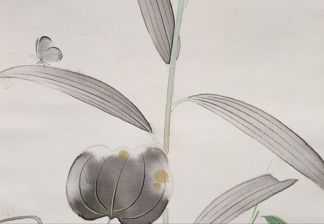 【笹百合図(爽夏)】山口玲熙 2668 ユリ 共箱二重箱 掛け軸 肉筆