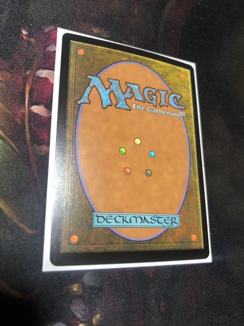 MTG 神聖なる泉/ 旧枠FOIL 日本語1枚　RVR