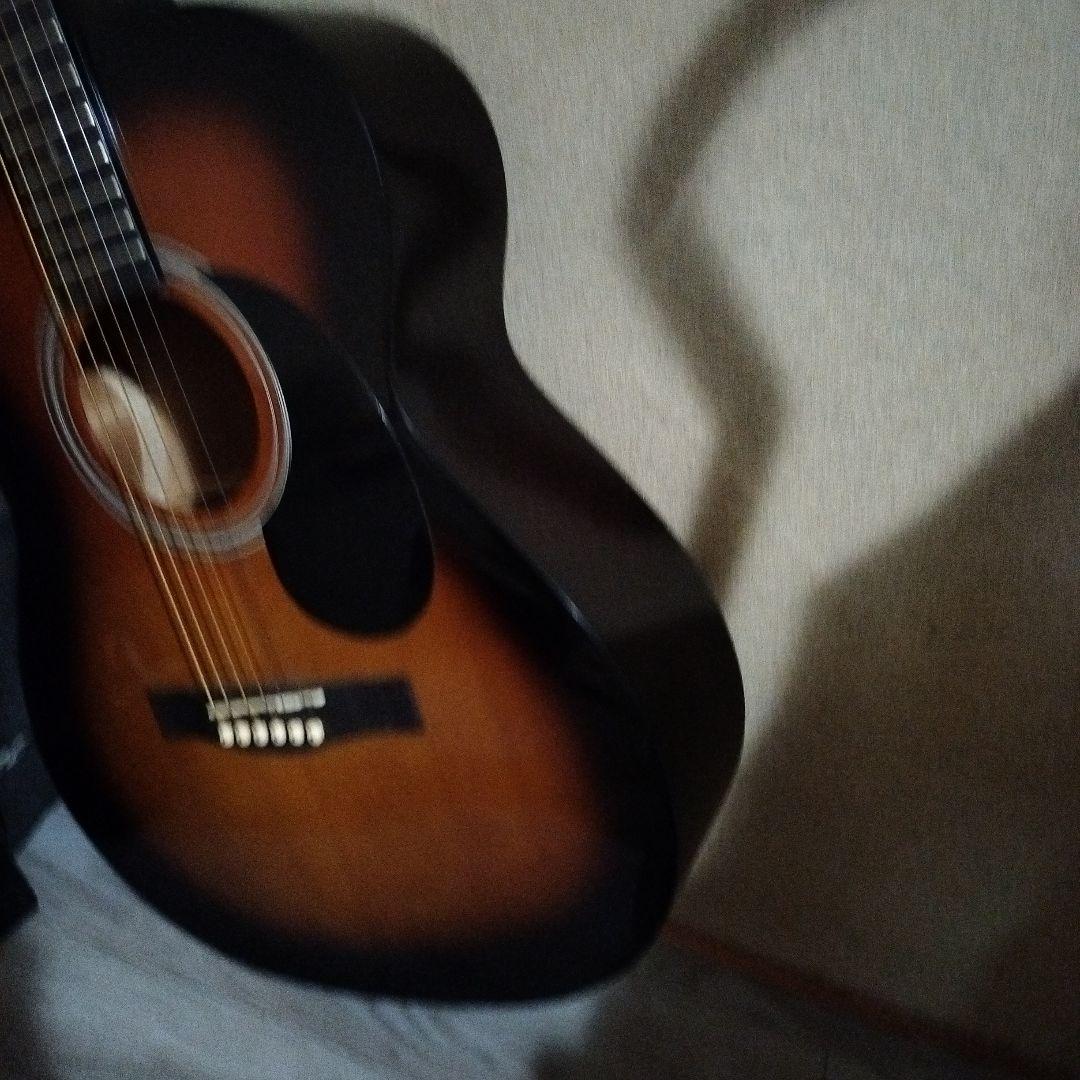 Lumbox アコースティックギター LFG10TS ギターケース付き