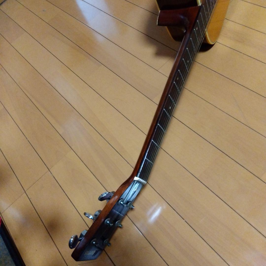 Morris W-18 アコースティックギター