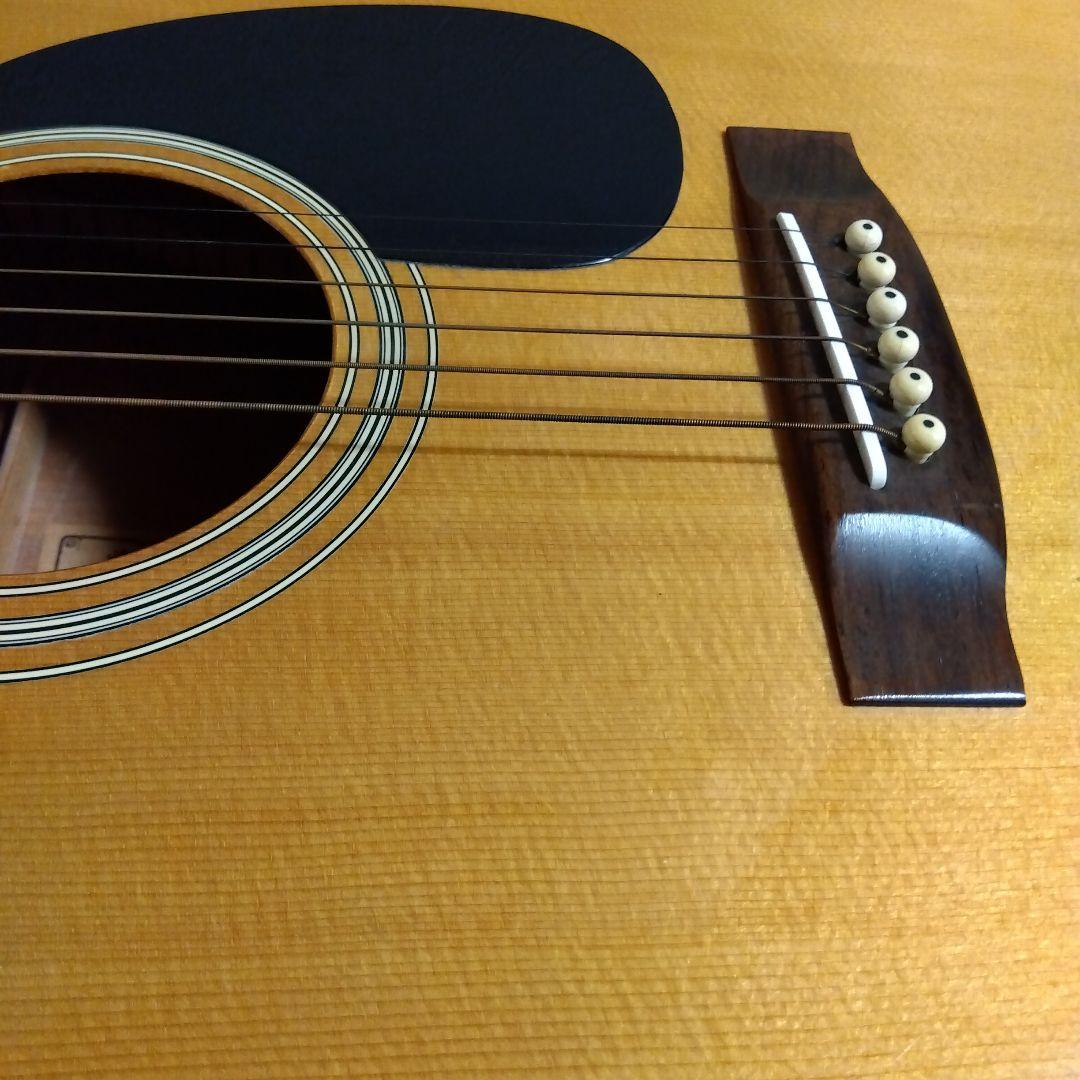 Morris W-18 アコースティックギター