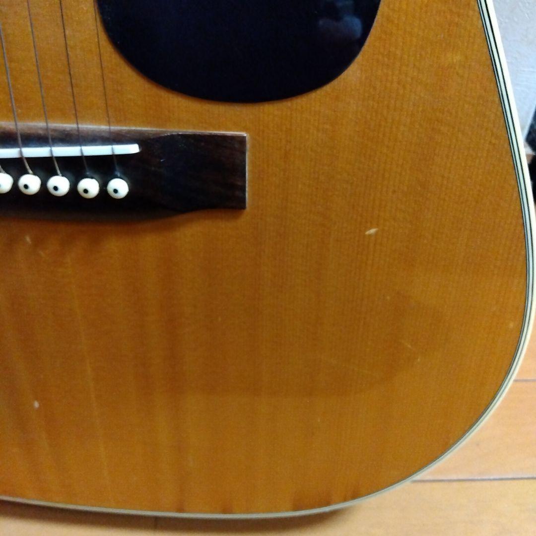 Morris W-18 アコースティックギター