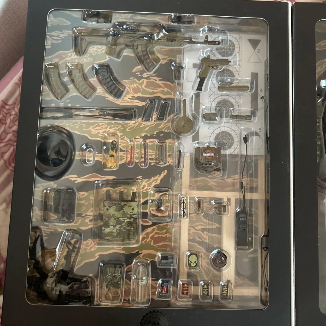 本日終了DAMTOYS 1/6 PMSCs Private Military