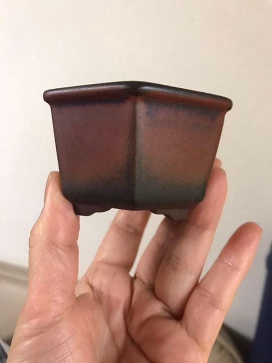 盆栽鉢　⑦2個時代常滑名工泥珠釉がけ朱泥上下鋲打/文山六角鉢ミニ盆栽山野草植木鉢