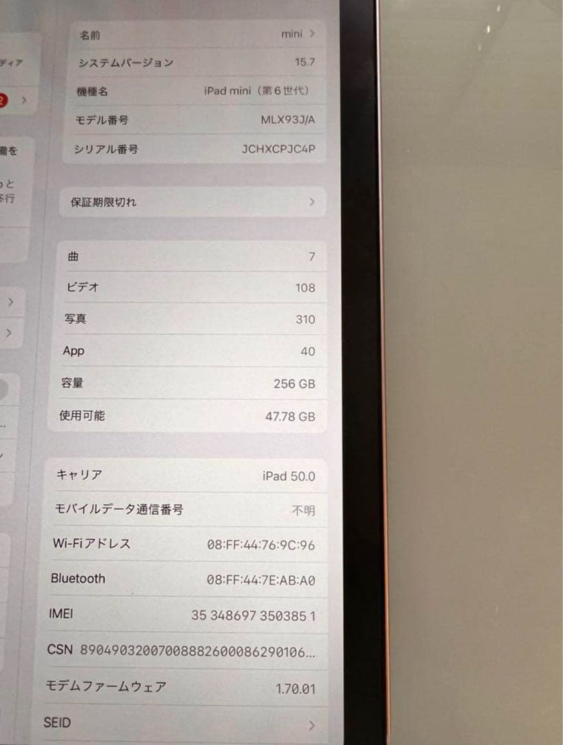 ipad mini 6 256GB Wi-Fi+Cellular ピンク 専用