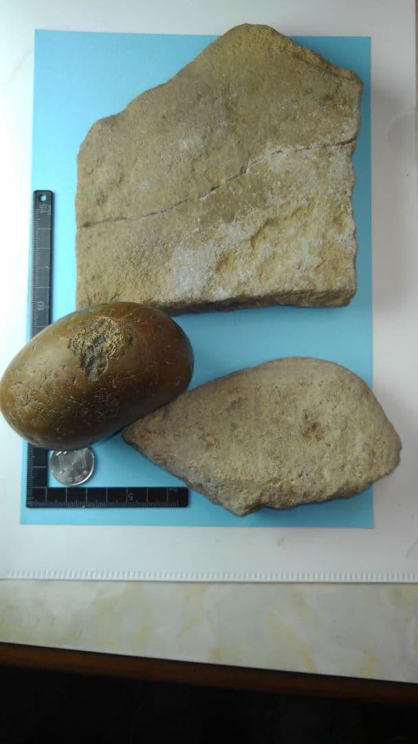 磨石(すりいし)セット　出土品　磨石(すりいし)、石皿、窪み石(くぼみいし)