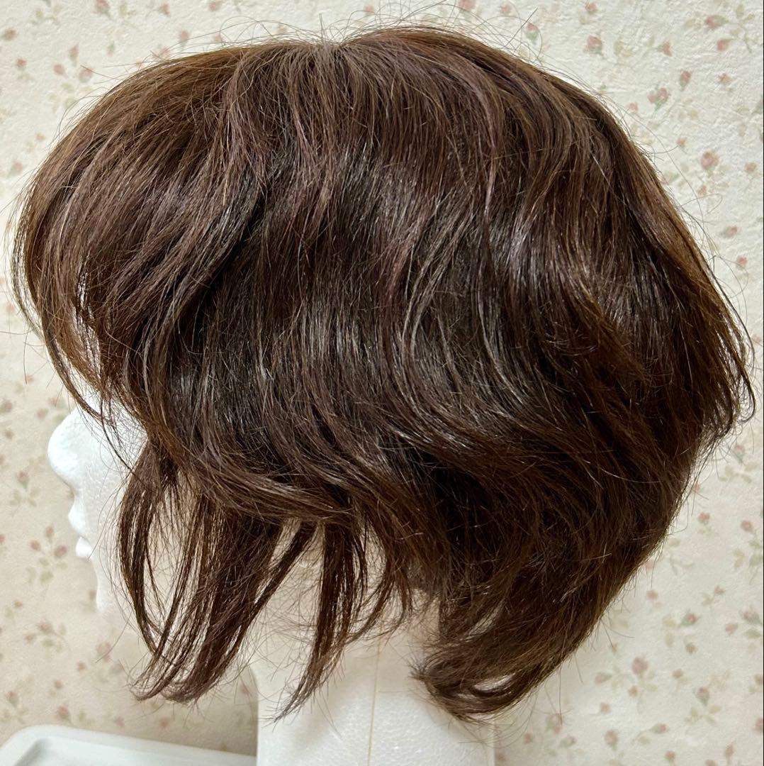 ジュリアオージェ　ブラウン ショート　ウィッグ　アートネイチャー　メッシュ