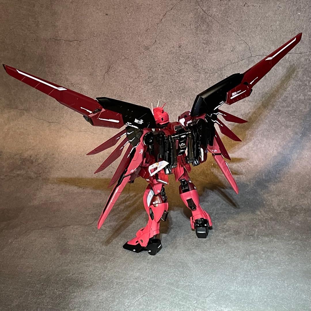 確認用 RG ディスティニーインパルスガンダム