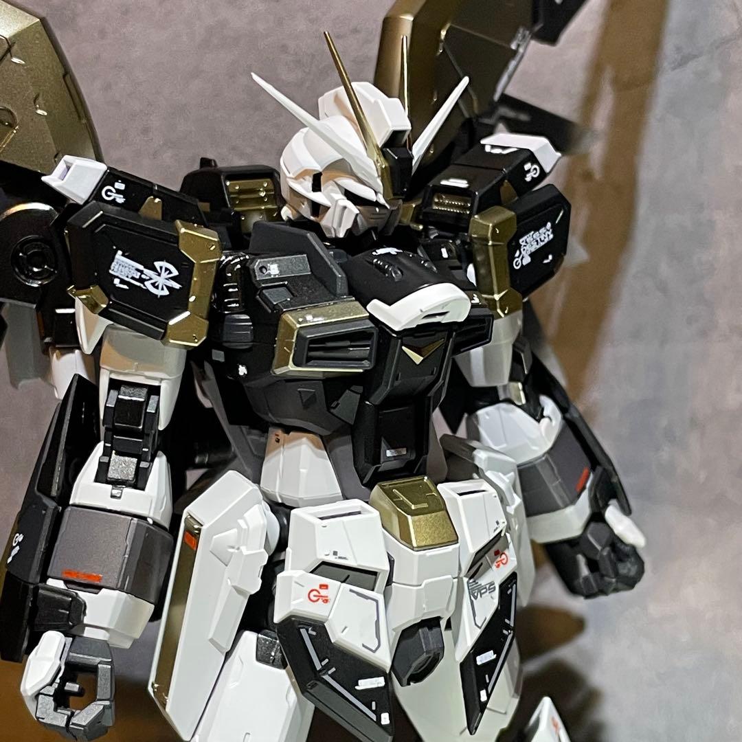 確認用 RG ディスティニーインパルスガンダム