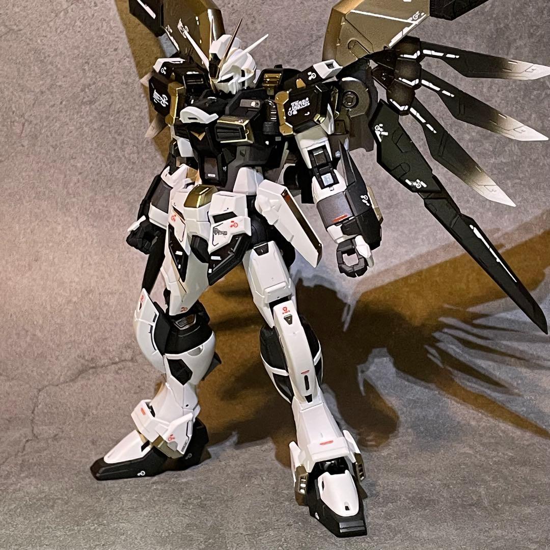 確認用 RG ディスティニーインパルスガンダム
