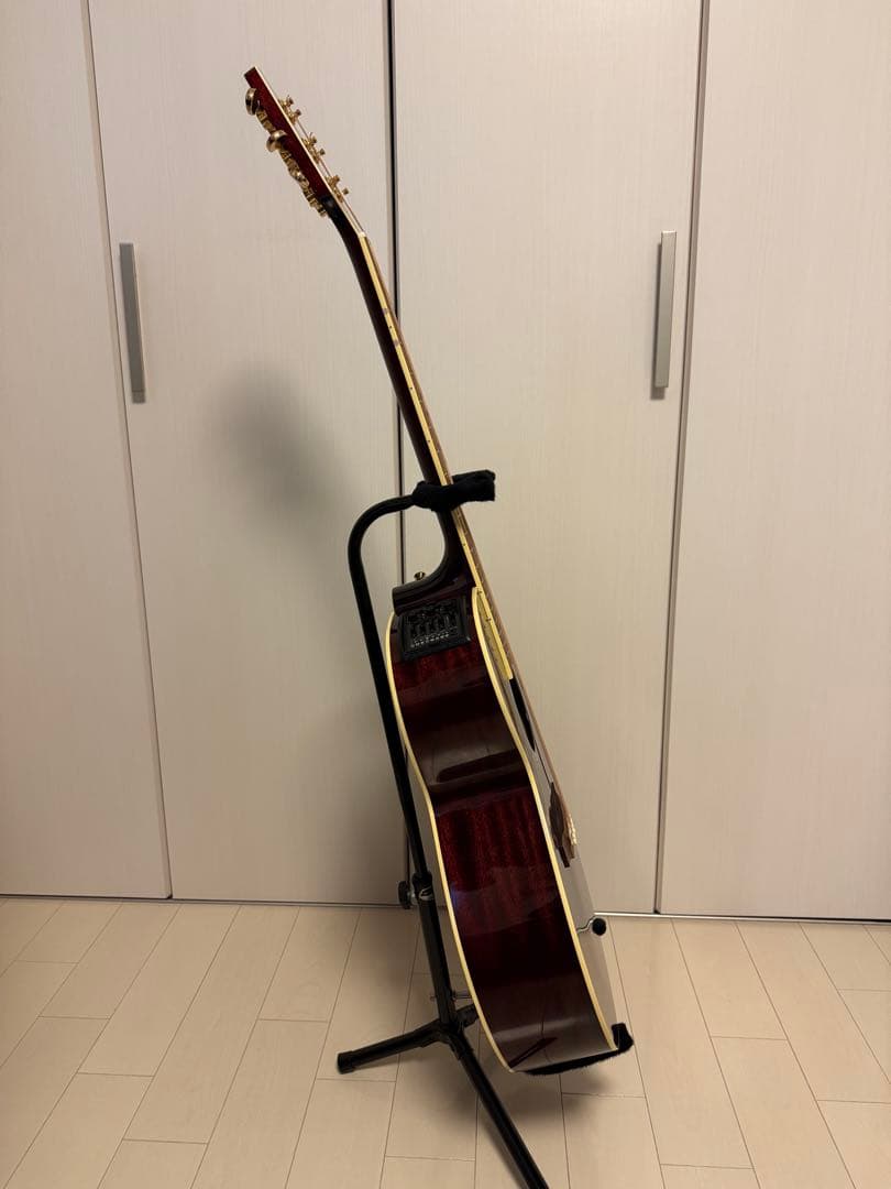 Takamine タカミネ DMP551C WR エレアコ ギターケース付き