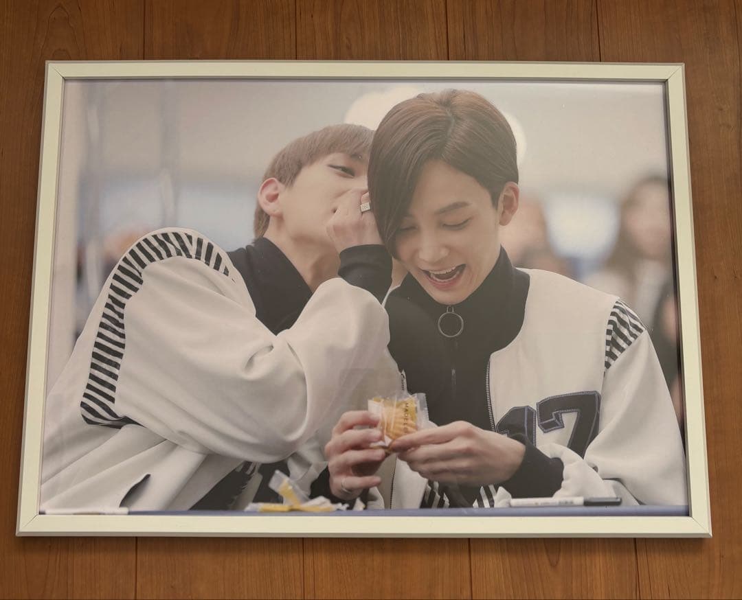 SEVENTEEN ジョンハン　パネル　マスタニム　マスター　NEW