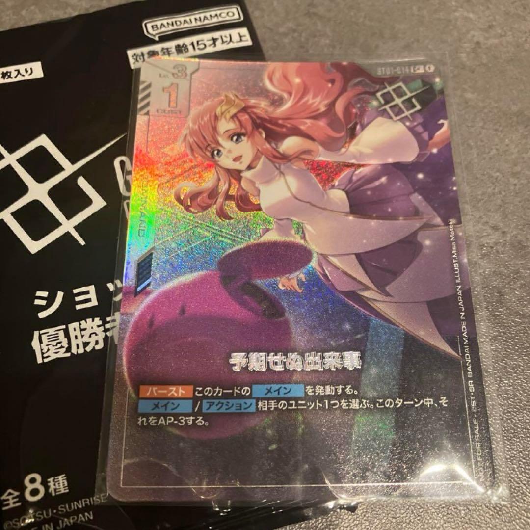 予期せぬ出来事　パラレル 新品