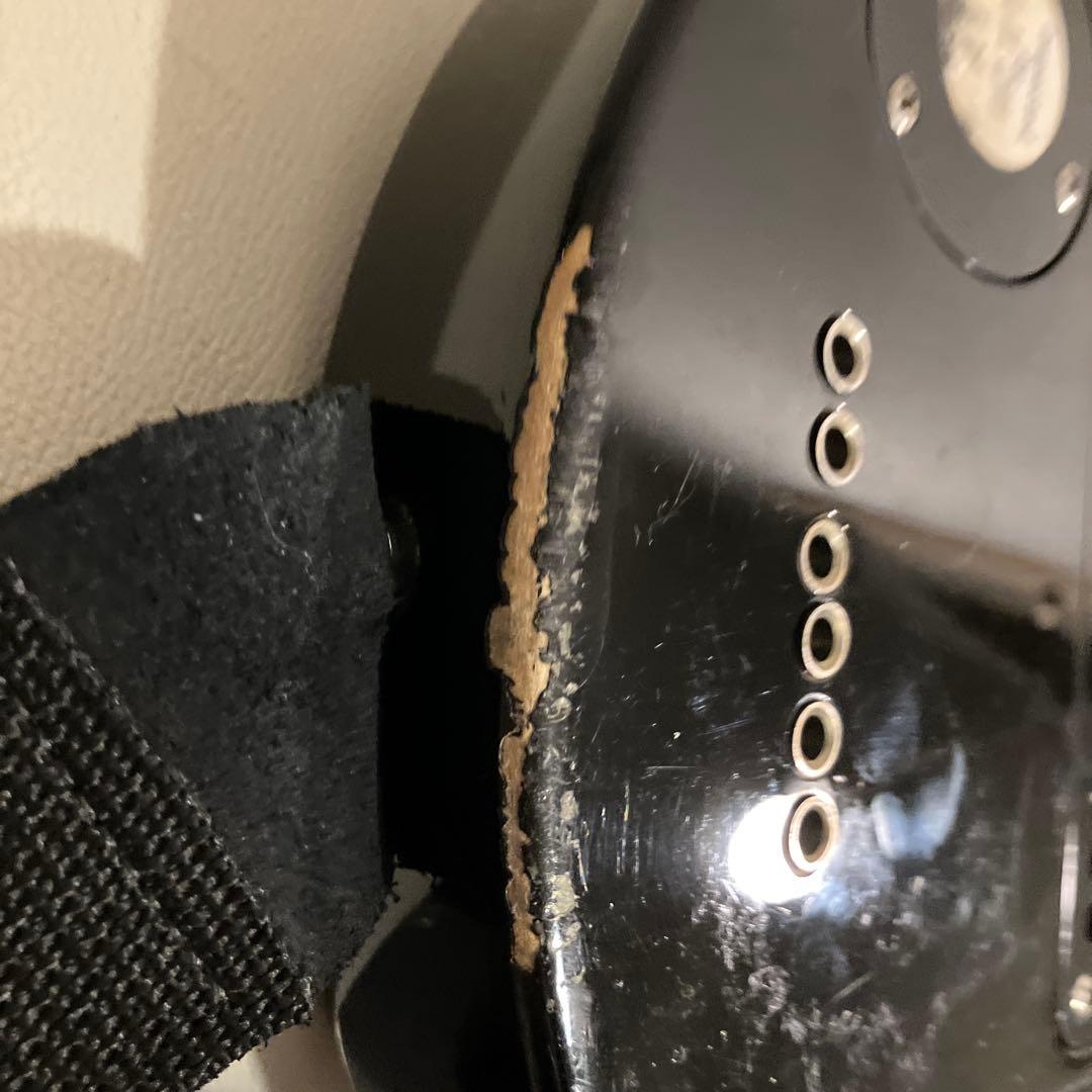 ピグノーズ PGG200 サンバースト