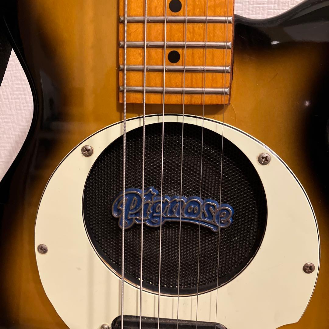 ピグノーズ PGG200 サンバースト