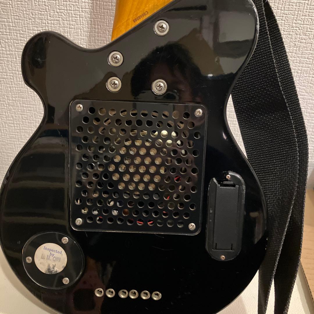 ピグノーズ PGG200 サンバースト