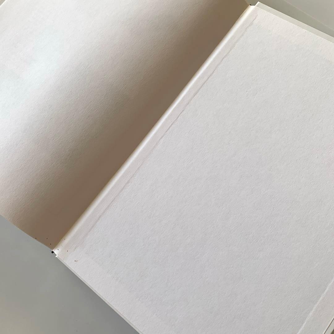 インド亜大陸のカメ　ドイツ語版　Die Schildkröten des‥